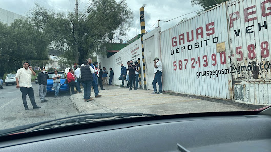 Gruas Pegaso Barrientos